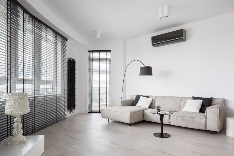 Apartment With Ductless Heater
